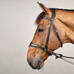 Bridão D Motion New English Collection by Dy'on Preto