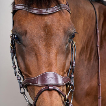 Bridão D Motion D Collection by Dy'on Castanho Bridão D Motion D Collection by Dy'on Castanho