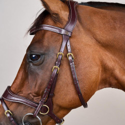 Bridão D Motion D Collection by Dy'on Castanho Bridão D Motion D Collection by Dy'on Castanho