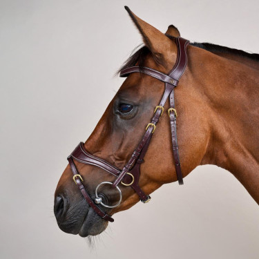 Bridão D Motion D Collection by Dy'on Castanho Bridão D Motion D Collection by Dy'on Castanho