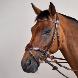 Bridão D Motion D Collection by Dy'on Castanho Bridão D Motion D Collection by Dy'on Castanho