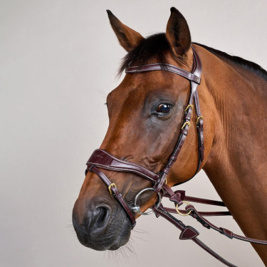 Bridão D Motion D Collection by Dy'on Castanho Bridão D Motion D Collection by Dy'on Castanho