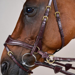 Bridão D Motion D Collection by Dy'on Castanho Bridão D Motion D Collection by Dy'on Castanho