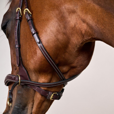 Bridão D Motion D Collection by Dy'on Castanho Bridão D Motion D Collection by Dy'on Castanho