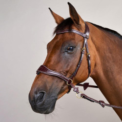 Bridão D Motion D Collection by Dy'on Castanho Bridão D Motion D Collection by Dy'on Castanho