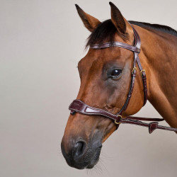 Bridão D Motion D Collection by Dy'on Castanho Bridão D Motion D Collection by Dy'on Castanho