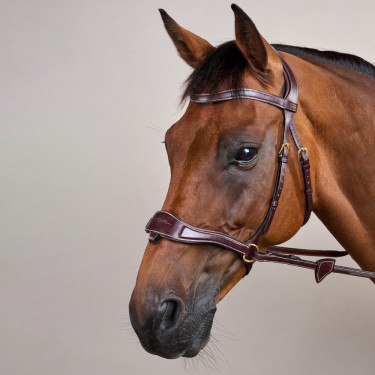 Bridão D Motion D Collection by Dy'on Castanho Bridão D Motion D Collection by Dy'on Castanho