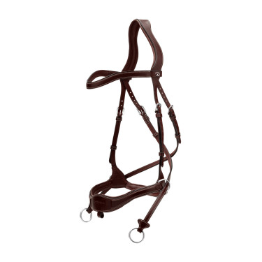 Bridão D Motion D Collection by Dy'on Castanho