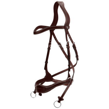 Bridão D Motion D Collection by Dy'on Castanho Bridão D Motion D Collection by Dy'on Castanho