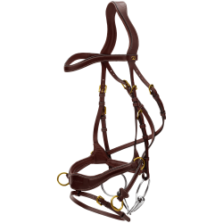 Bridão D Motion D Collection by Dy'on Castanho Bridão D Motion D Collection by Dy'on Castanho