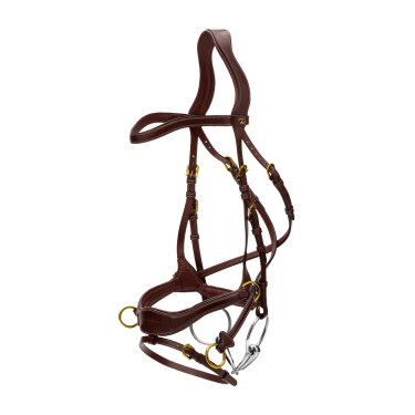 Bridão D Motion D Collection by Dy'on Castanho