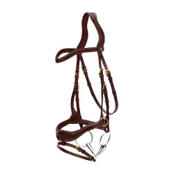 Bridão D Motion D Collection by Dy'on Castanho