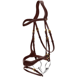 Bridão D Motion D Collection by Dy'on Castanho Bridão D Motion D Collection by Dy'on Castanho