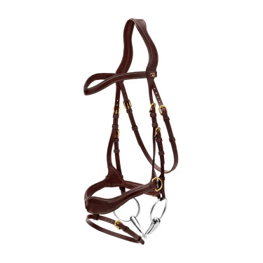 Bridão D Motion D Collection by Dy'on Castanho