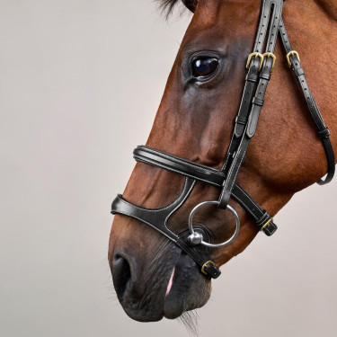 Bridão Duplo com Caneleira Dupla D Collection by Dy'on Preto