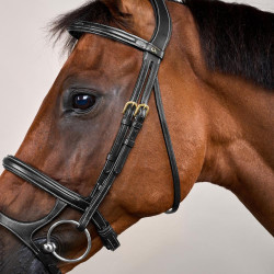 Bridão Duplo com Caneleira Dupla D Collection by Dy'on Preto