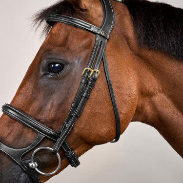 Bridão Duplo com Caneleira Dupla D Collection by Dy'on Preto