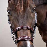 Bridão Duplo com Cavesseira New English Collection da Dy'on Preto