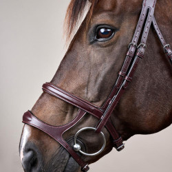 Bridão Duplo com Cavesseira New English Collection da Dy'on Castanho