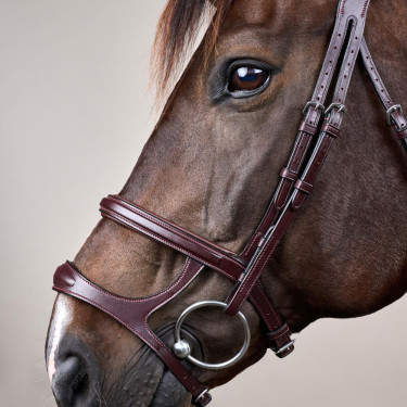 Bridão Duplo com Cavesseira New English Collection da Dy'on Castanho