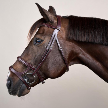 Bridão Duplo com Cavesseira New English Collection da Dy'on Castanho