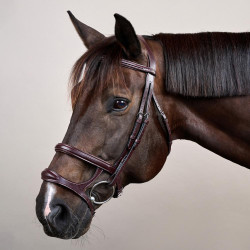 Bridão Duplo com Cavesseira New English Collection da Dy'on Castanho