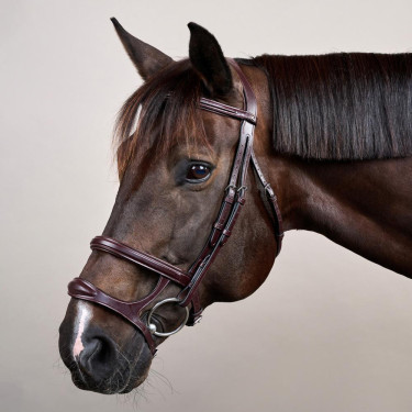 Bridão Duplo com Cavesseira New English Collection da Dy'on Castanho