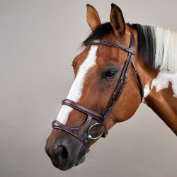 Bridão Duplo com Duas Cavestras Coleção US da Dy'on Castanho Bridão Duplo com Duas Cavestras Coleção US da Dy'on Castanho
