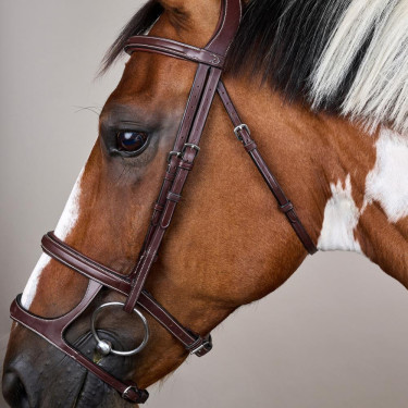 Bridão Duplo com Duas Cavestras Coleção US da Dy'on Castanho Bridão Duplo com Duas Cavestras Coleção US da Dy'on Castanho