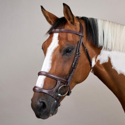 Bridão Duplo com Duas Cavestras Coleção US da Dy'on Castanho Bridão Duplo com Duas Cavestras Coleção US da Dy'on Castanho