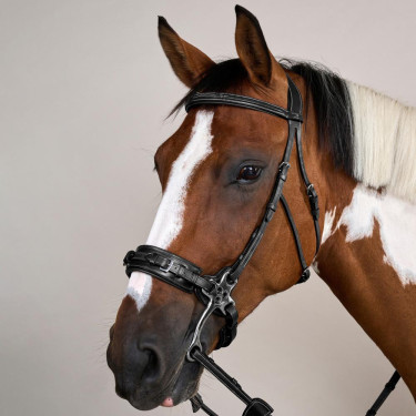 Bridão Hackamore Coleção US da Dy'on Preto Bridão Hackamore Coleção US da Dy'on Preto