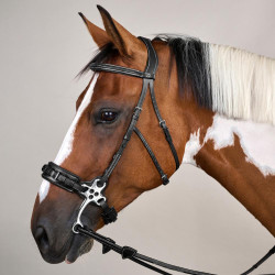 Bridão Hackamore Coleção US da Dy'on Preto Bridão Hackamore Coleção US da Dy'on Preto