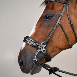 Bridão Hackamore Coleção US da Dy'on Preto Bridão Hackamore Coleção US da Dy'on Preto