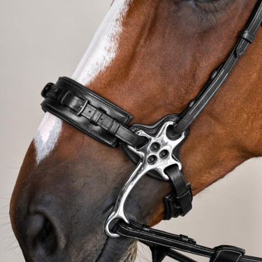 Bridão Hackamore Coleção US da Dy'on Preto Bridão Hackamore Coleção US da Dy'on Preto