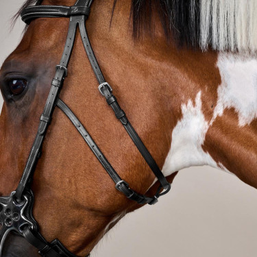 Bridão Hackamore Coleção US da Dy'on Preto Bridão Hackamore Coleção US da Dy'on Preto
