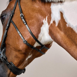 Bridão Hackamore Coleção US da Dy'on Preto Bridão Hackamore Coleção US da Dy'on Preto