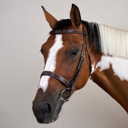 Bridão Hunter US Collection por Dy'on Castanho Bridão Hunter US Collection por Dy'on Castanho