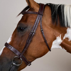 Bridão Hunter US Collection por Dy'on Castanho Bridão Hunter US Collection por Dy'on Castanho