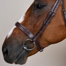 Bridão Hunter US Collection por Dy'on Castanho Bridão Hunter US Collection por Dy'on Castanho