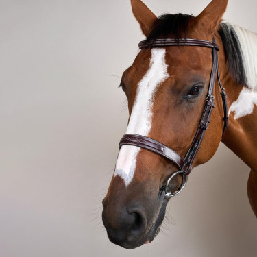 Bridão Hunter US Collection por Dy'on Castanho Bridão Hunter US Collection por Dy'on Castanho