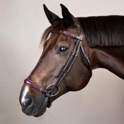 Bridão Muserola Alemã Ajustável New English Collection by Dy'on Castanho