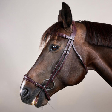 Bridão Muserola Alemã Ajustável New English Collection by Dy'on Castanho