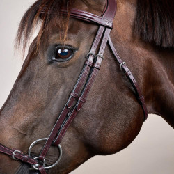 Bridão Muserola Alemã Ajustável New English Collection by Dy'on Castanho