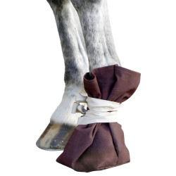 Calçado de tratamento Covalliero Calçado de tratamento Covalliero