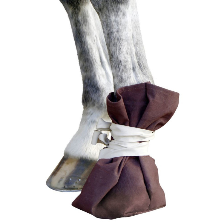 Calçado de tratamento Covalliero Calçado de tratamento Covalliero