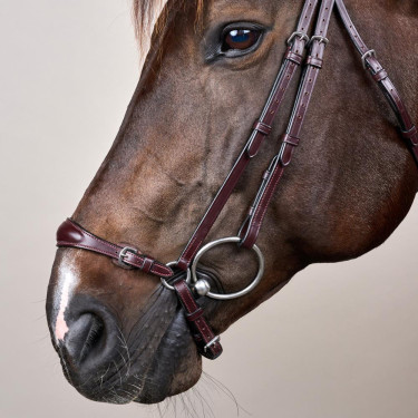 Bridão Muserola Alemã Ajustável New English Collection by Dy'on Castanho