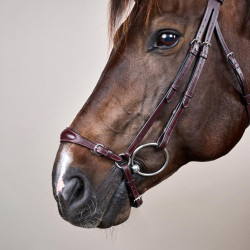 Bridão Muserola Alemã Ajustável New English Collection by Dy'on Castanho