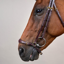 Bridão Muserola Alemã Ajustável D Collection by Dy'on Castanho