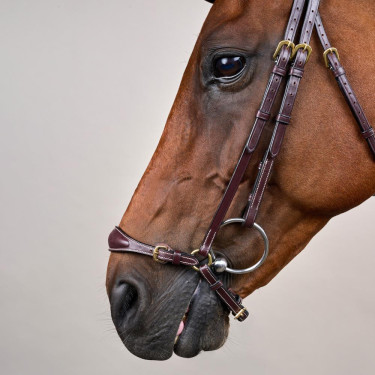 Bridão Muserola Alemã Ajustável D Collection by Dy'on Castanho