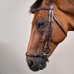 Bridão Muserola Alemã Ajustável D Collection by Dy'on Castanho
